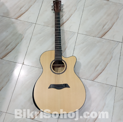 Guitar(deviser LS-570-40)